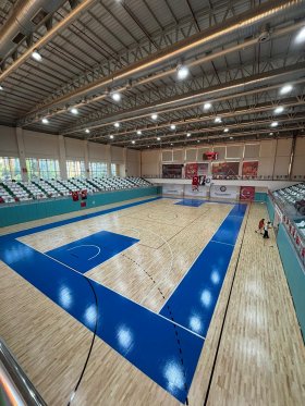 MANİSA / SALİHLİ